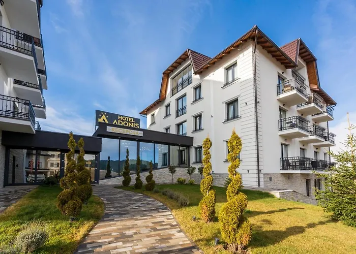 Adonis Zlatibor 205