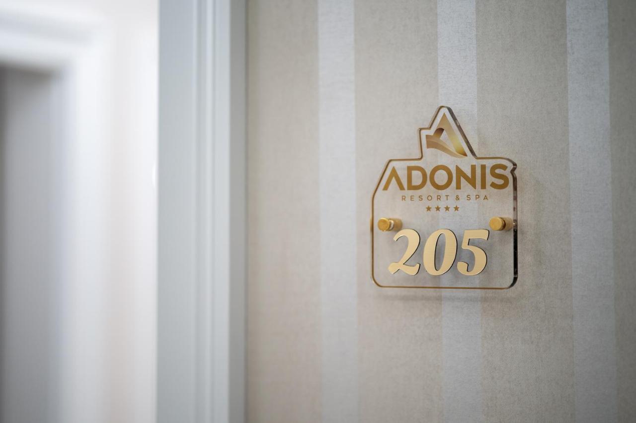 Apartment Adonis 205 *